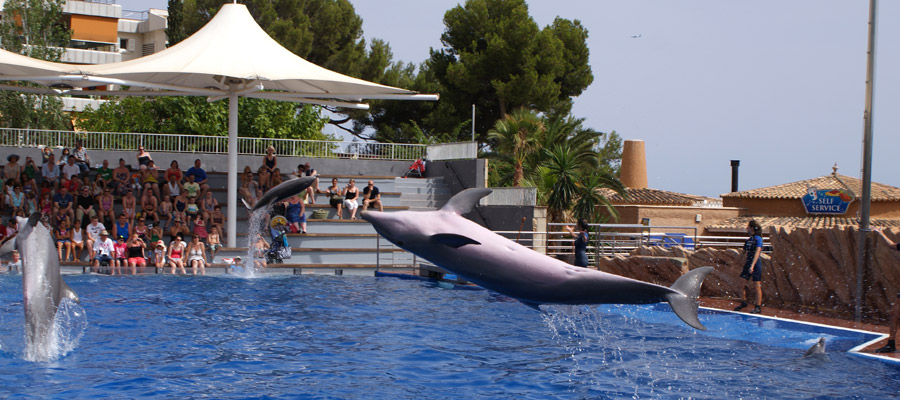 Activités et loisirs en famille à Antibes